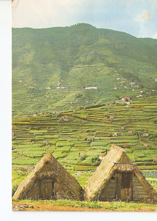 Postal 029134 : Ilha dea Madeira (Portugal), Valle del Machico