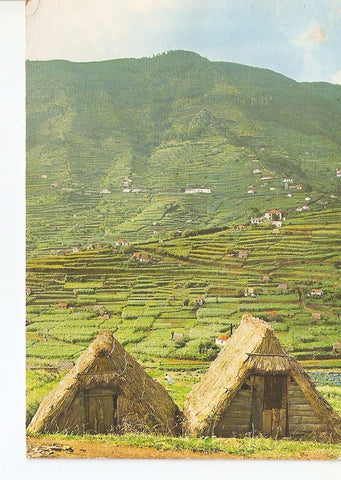 Postal 029134 : Ilha dea Madeira (Portugal), Valle del Machico
