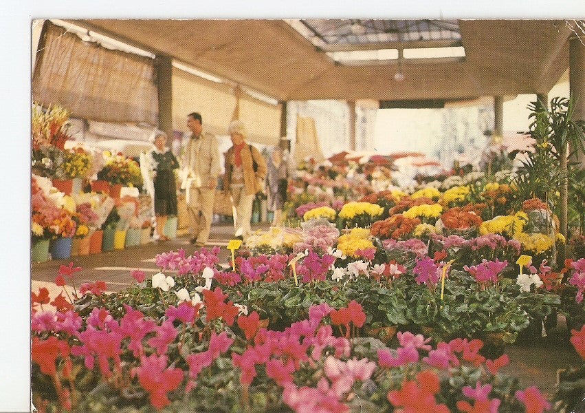 Postal 029142 : Nice. Le marche aux fleurs