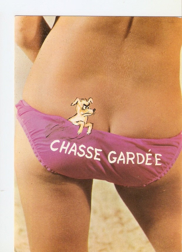Postal 029185 : Chasse Gardee