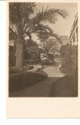Postal 029220 : Jardin