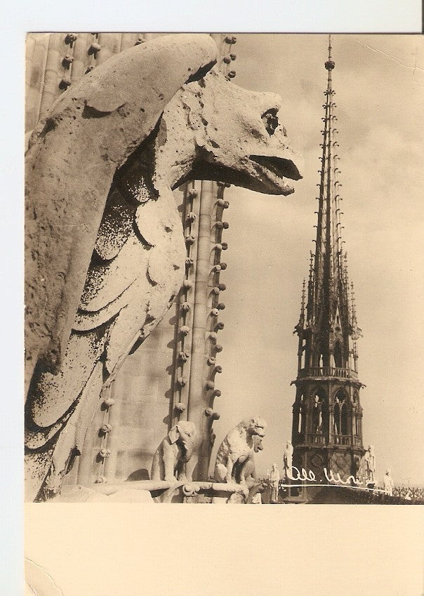 Postal 029302 : Paris - Les Chimeres et la Feche de Notre Dame