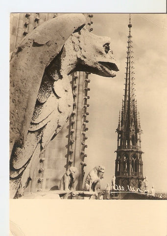 Postal 029302 : Paris - Les Chimeres et la Feche de Notre Dame