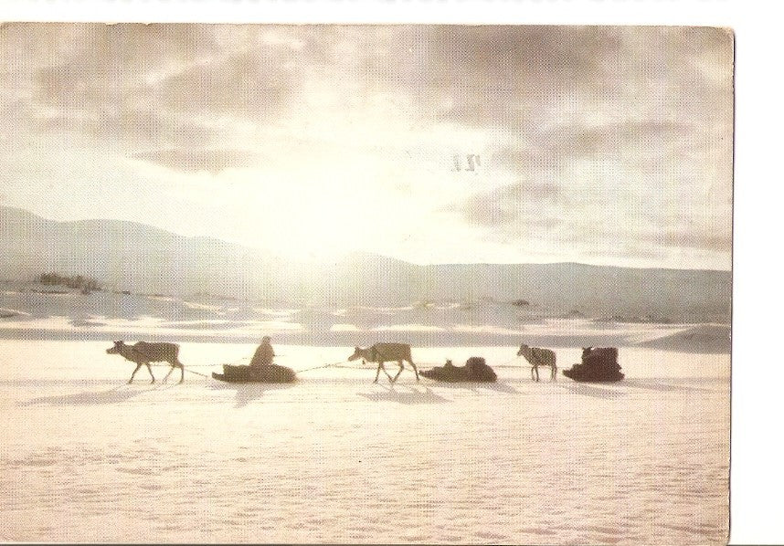Postal 029320 : The Lappics moving to the mountains