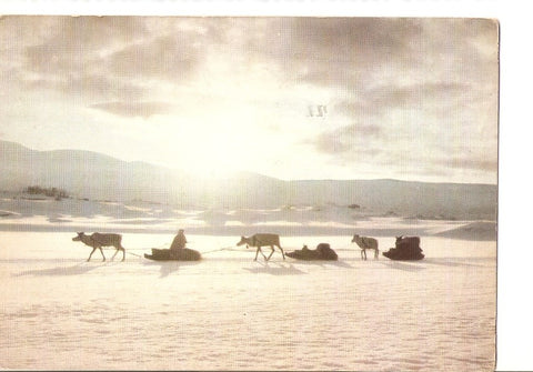 Postal 029320 : The Lappics moving to the mountains