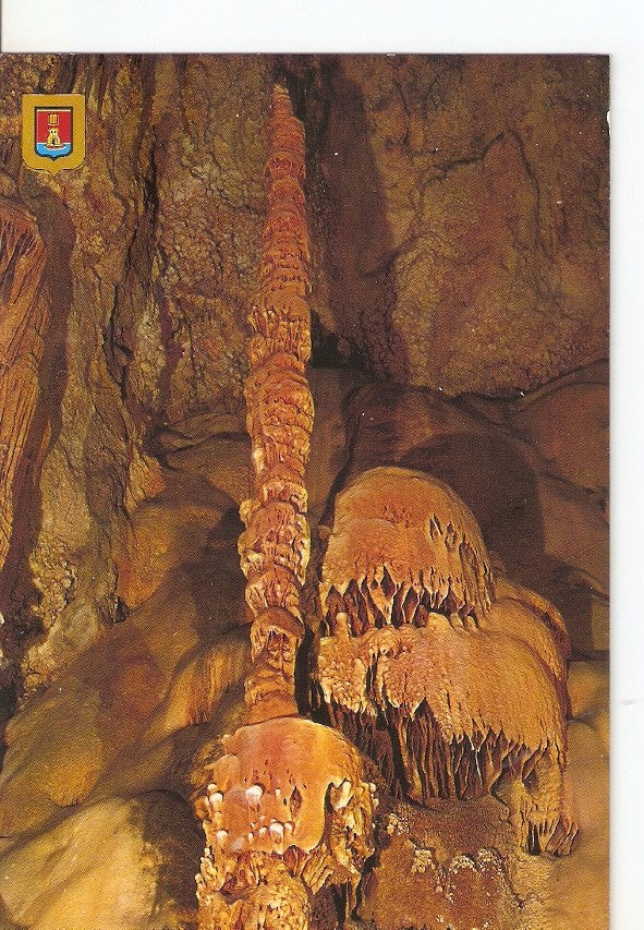 Postal 029333 : Alicante, Busot. Cuevas de Canalobre. Palmeras y medusas de mar