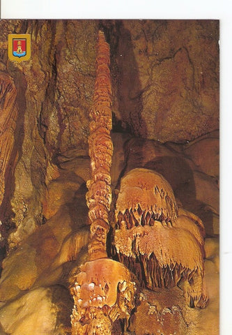 Postal 029333 : Alicante, Busot. Cuevas de Canalobre. Palmeras y medusas de mar