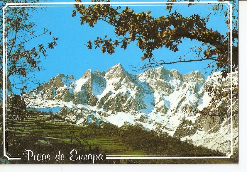 Postal 029342 : Picos de Europa, El Jiso - Prao Cortes