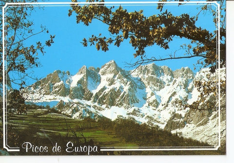 Postal 029342 : Picos de Europa, El Jiso - Prao Cortes