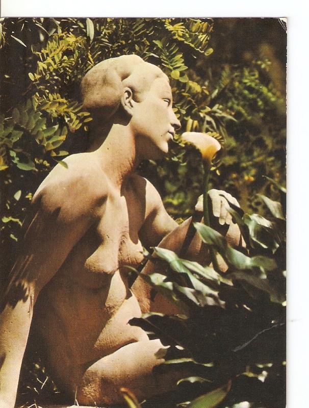 Postal 028247 : Descanso. Parque Museo El Pedragal, 