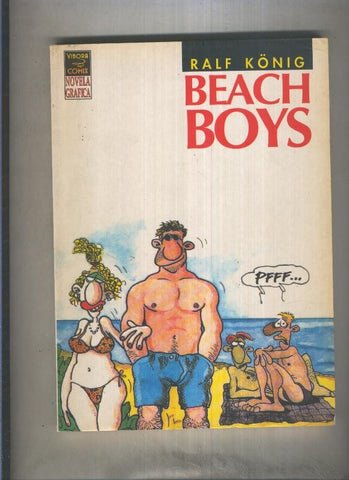 Novela Grafica: Beach Boys