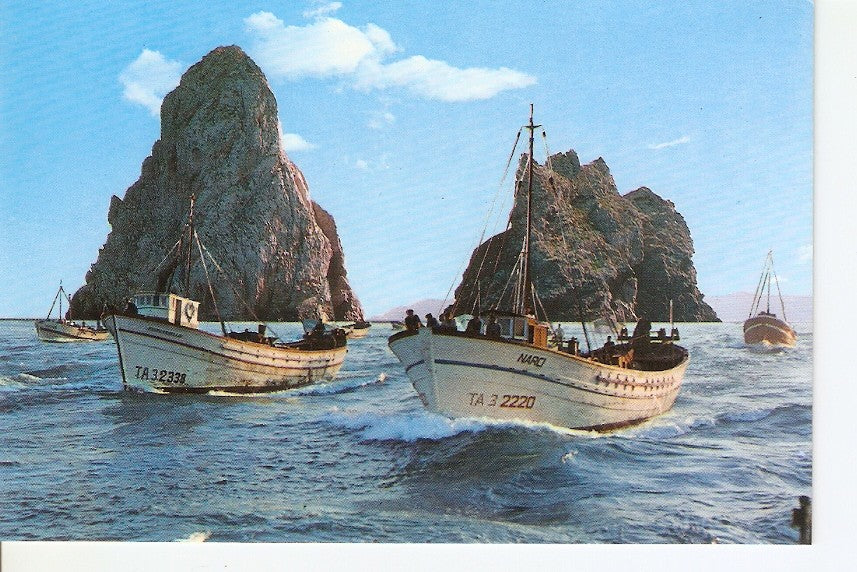 Postal 024573 : Islas Medas (Costa Brava)