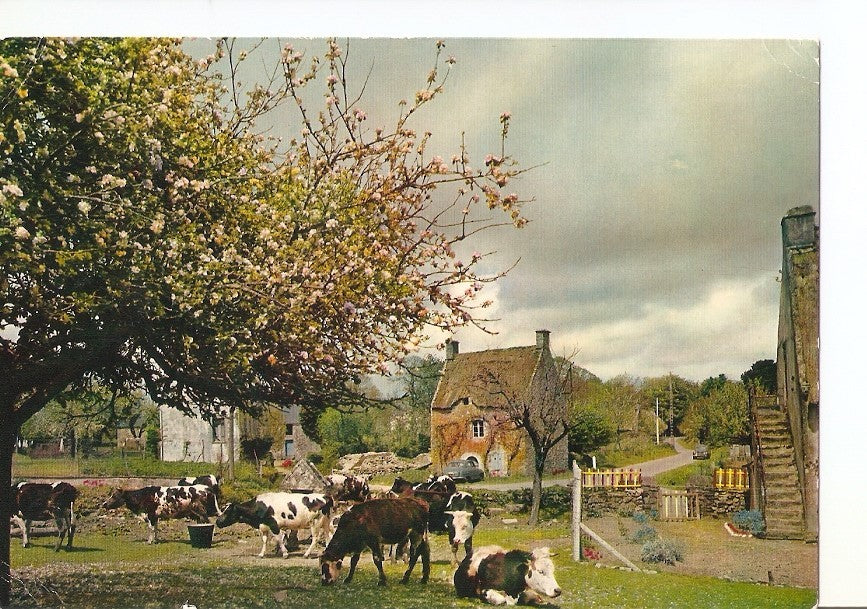 Postal 024662 : Chaumieres de Bretagne