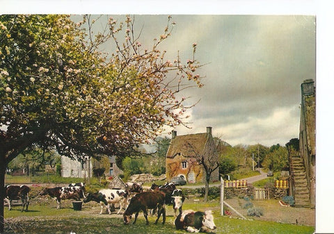 Postal 024662 : Chaumieres de Bretagne