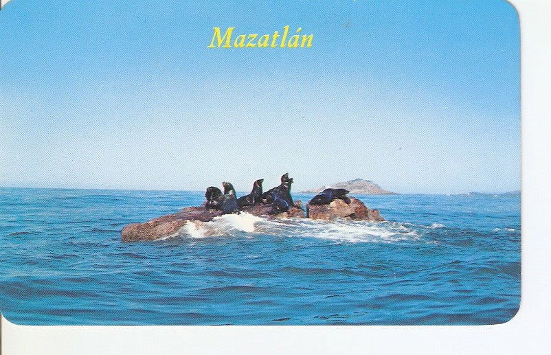 Postal 024679 : Focas descansando en la Piedra de la Tortuga en Mazatlan Sinaloa Mexico