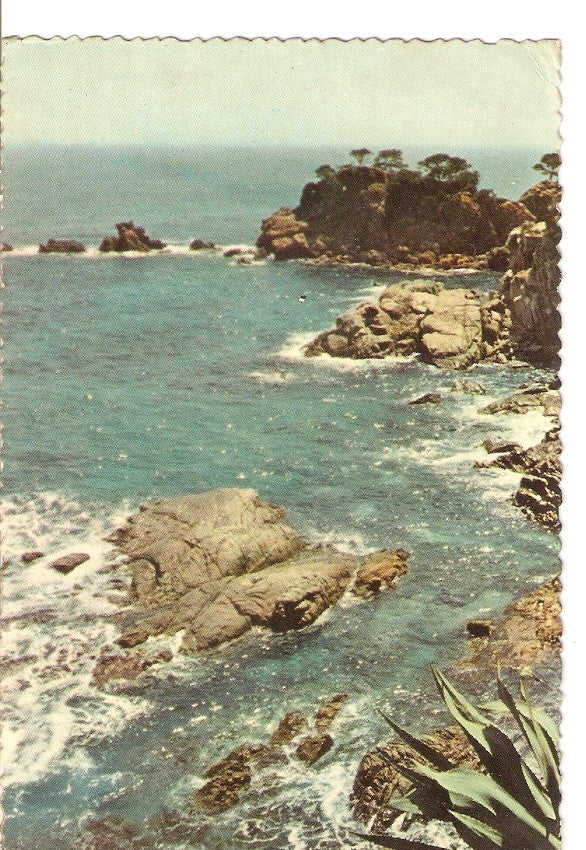 Postal 024832 : Bloque de rocas cerca de la orilla