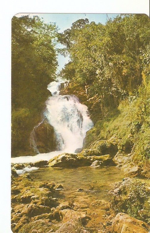 Postal 024837 : Cascadas Tamasopo S.L.P. Mex.