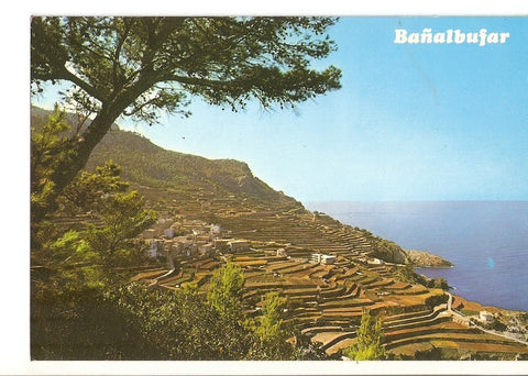 Postal 024864 : Mallorca (Baleares). Bañalbufar
