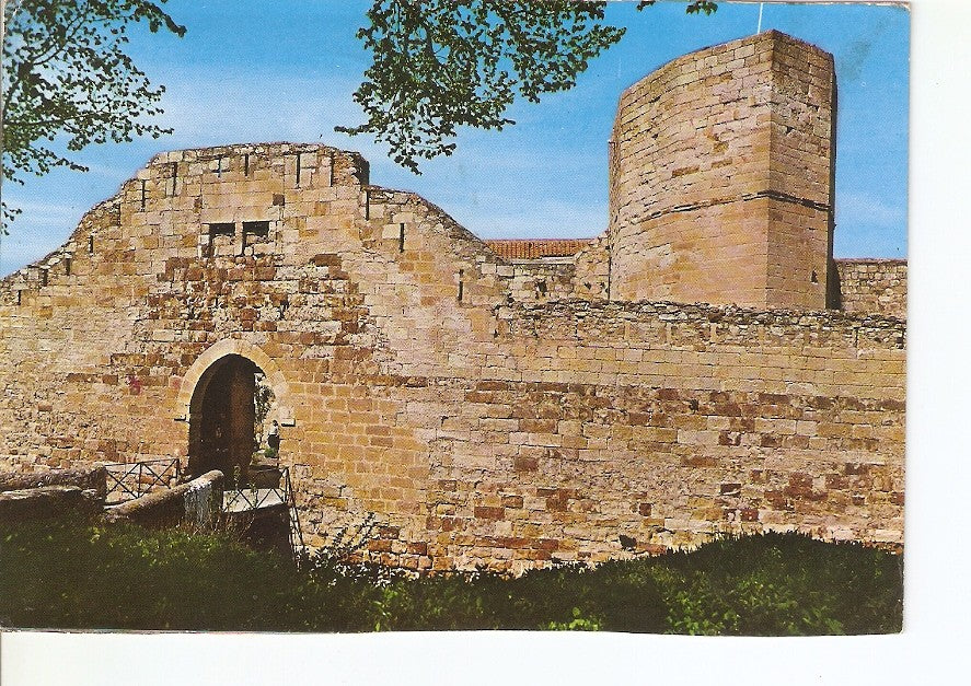 Postal 024882 : Fachada principal del Castillo. Zamora