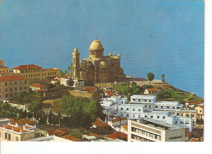 Postal 024888 : Cathedrale Note Dame. Alger La Noir