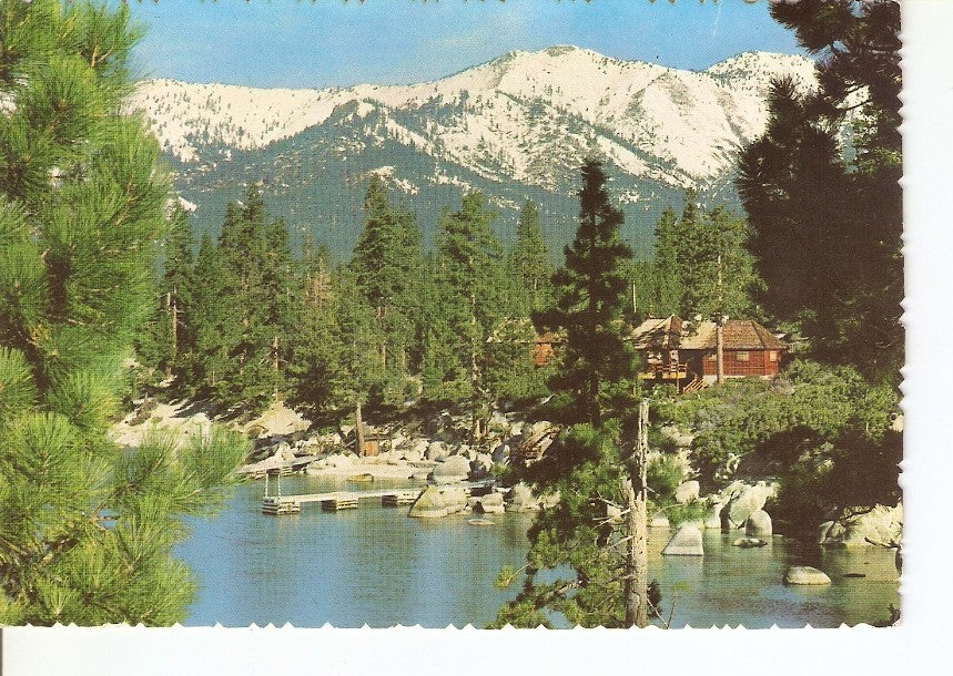 Postal 024903 : Lago en bosque