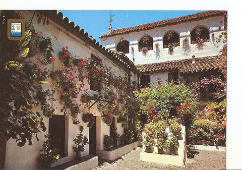 Postal 024949 : Tipico patio andaluz. Costa del Sol
