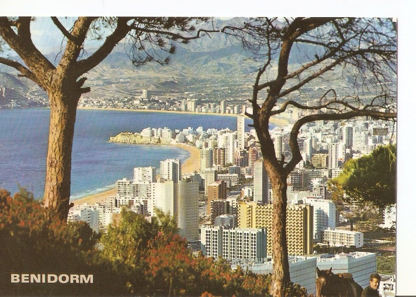 Postal 024979 : Benidorm (España)