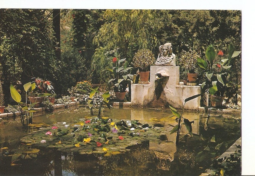 Postal 024982 : Huerta del Cura el tocador de la Dama de Elche