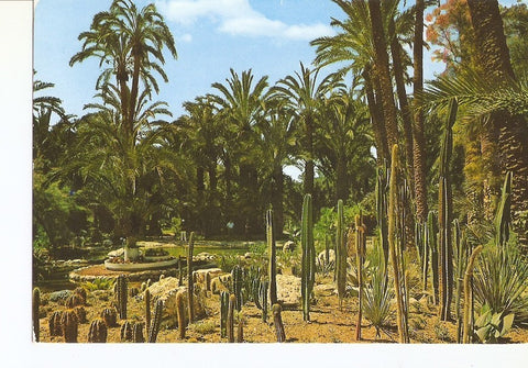 Postal 024985 : Huerto del Cura. Rocalla Zona de Cereus. Elche