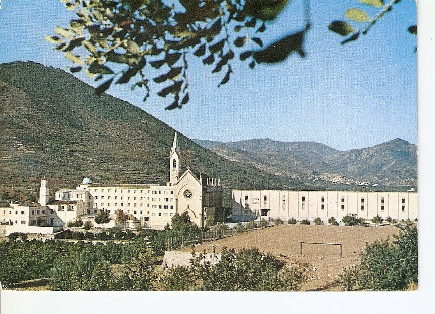 Postal 024999 : Museo de Ciencias Naturales. El Carmen Onda (Castellon de la Plana)