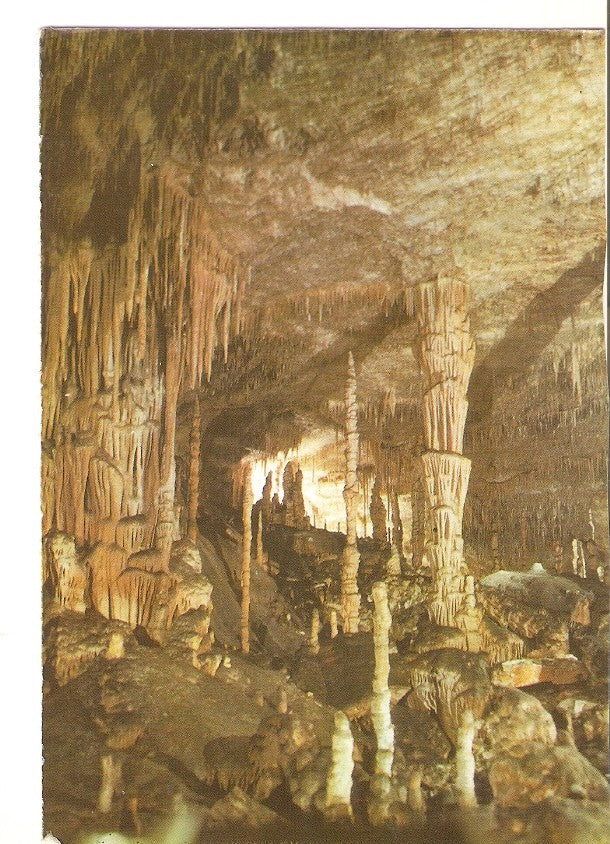 Postal 025056 : Cuevas del Drach Porto Cristo - Mallorca. Teatro de las Hadas