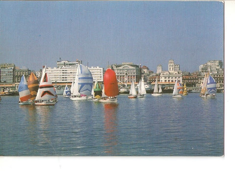 Postal 025249 : Regata en el puerto