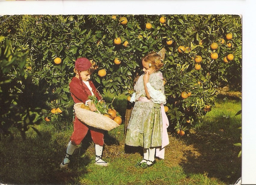 Postal 025273 : Valencia tipica