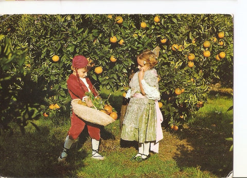 Postal 025273 : Valencia tipica