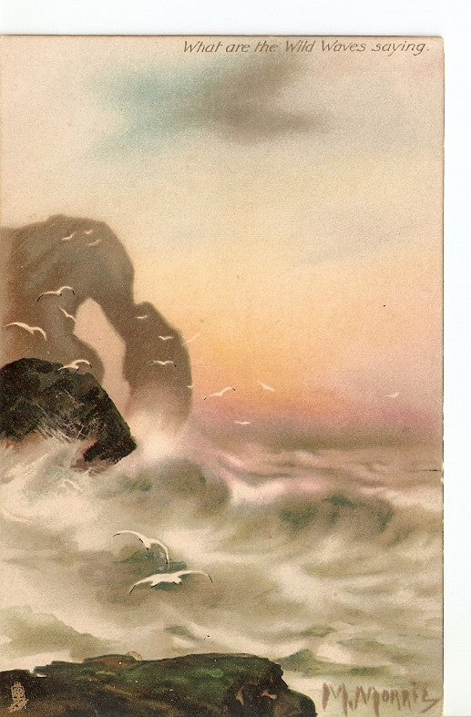 Postal 025295 : What are the Wild Waves saying