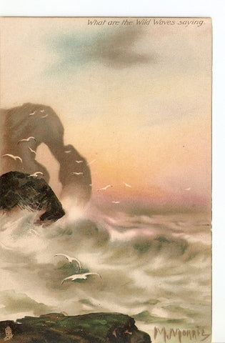 Postal 025295 : What are the Wild Waves saying