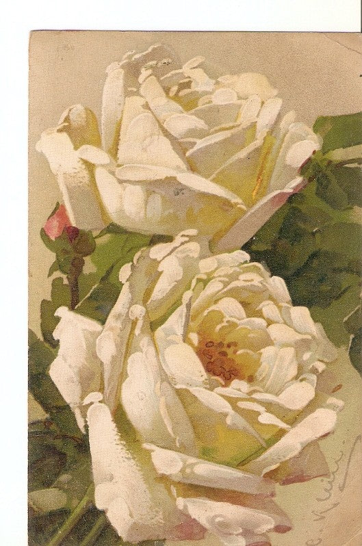 Postal 025305 : Flores