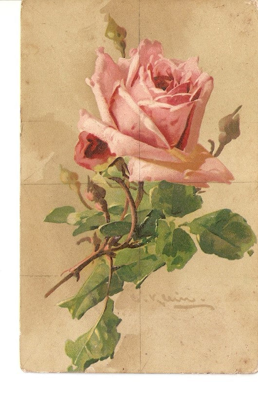 Postal 025307 : Rosa