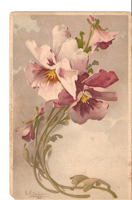 Postal 025308 : Flores