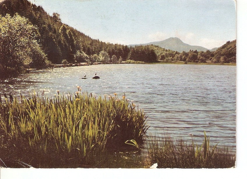 Postal 025543 : Loch Ard Pertshshire
