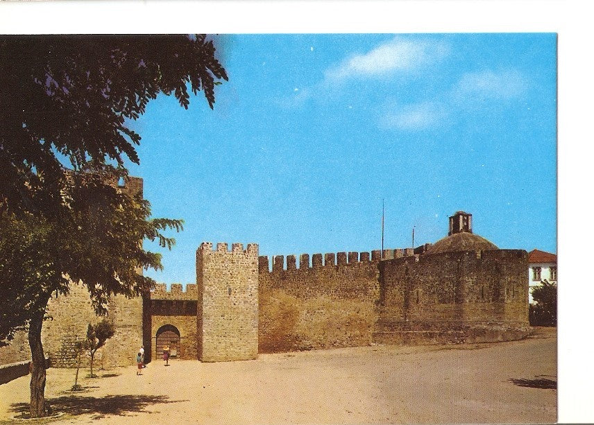 Postal 025575 : Pillory. Elvas (Portugal)