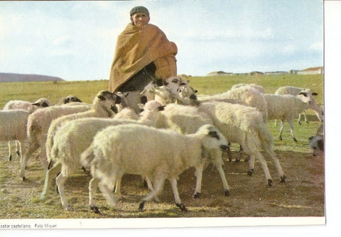 Postal 025763 : Pastor castellano. Foto Miquel