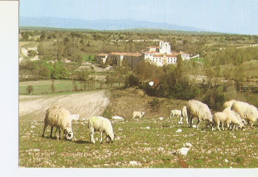Postal 025777 : Real Monaterio de San Pedro de Cardea (Burgos)