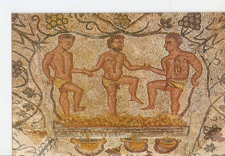 Postal 025912 : Mosaico Pisa de la uva. Casa del Anfiteatro. Merida (Badajoz)