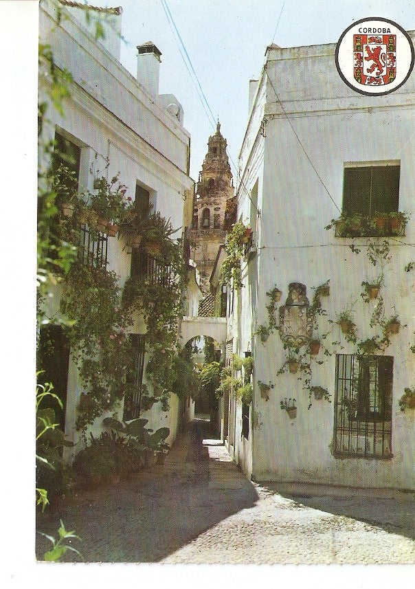 Postal 026033 : Calleja de las Flores. Cordoba