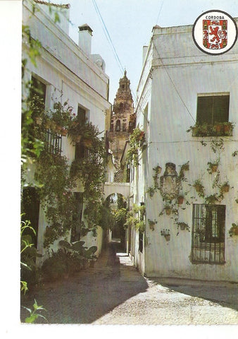 Postal 026033 : Calleja de las Flores. Cordoba