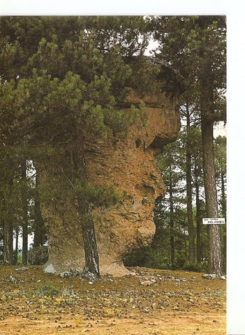 Postal 026137 : La Cara del Hombre (Cuenca)
