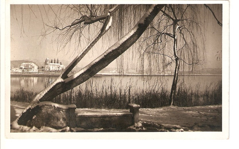 Postal 026354 : Bañolas: Vista del Lago