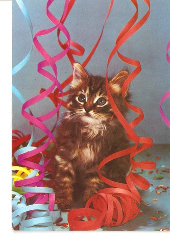 Postal 026369 : Gato