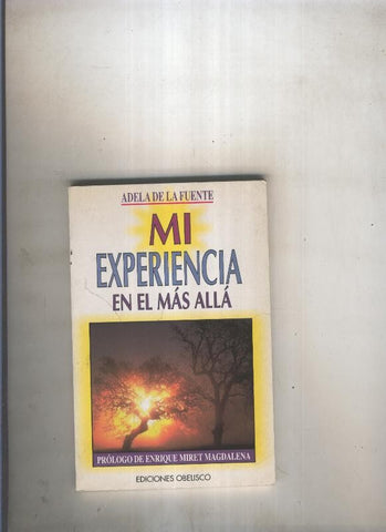 Mi experiencia en el mas alla